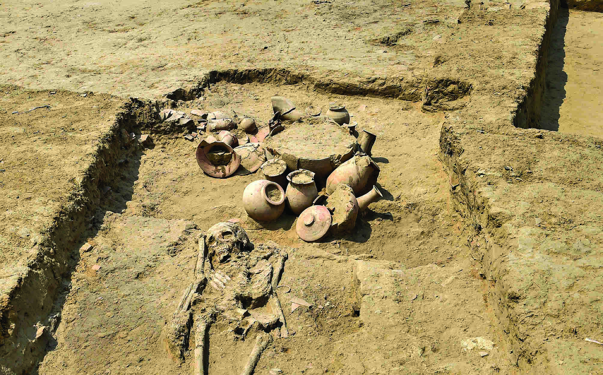 DNA samples from 2 human skeletons found at Harappan-era Rakhigarhi sent for analysis