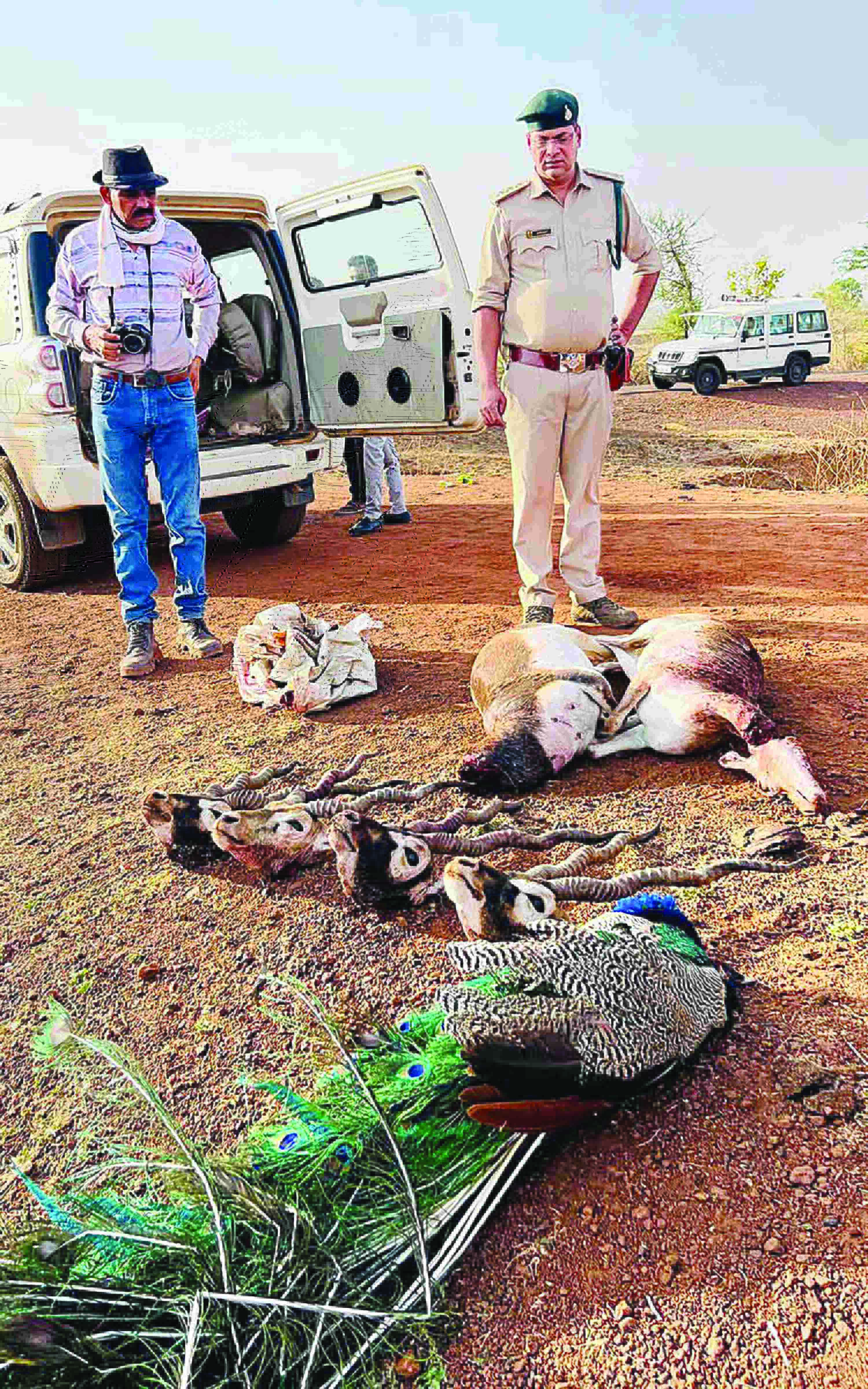 MP: 3 cops killed in firing by poachers