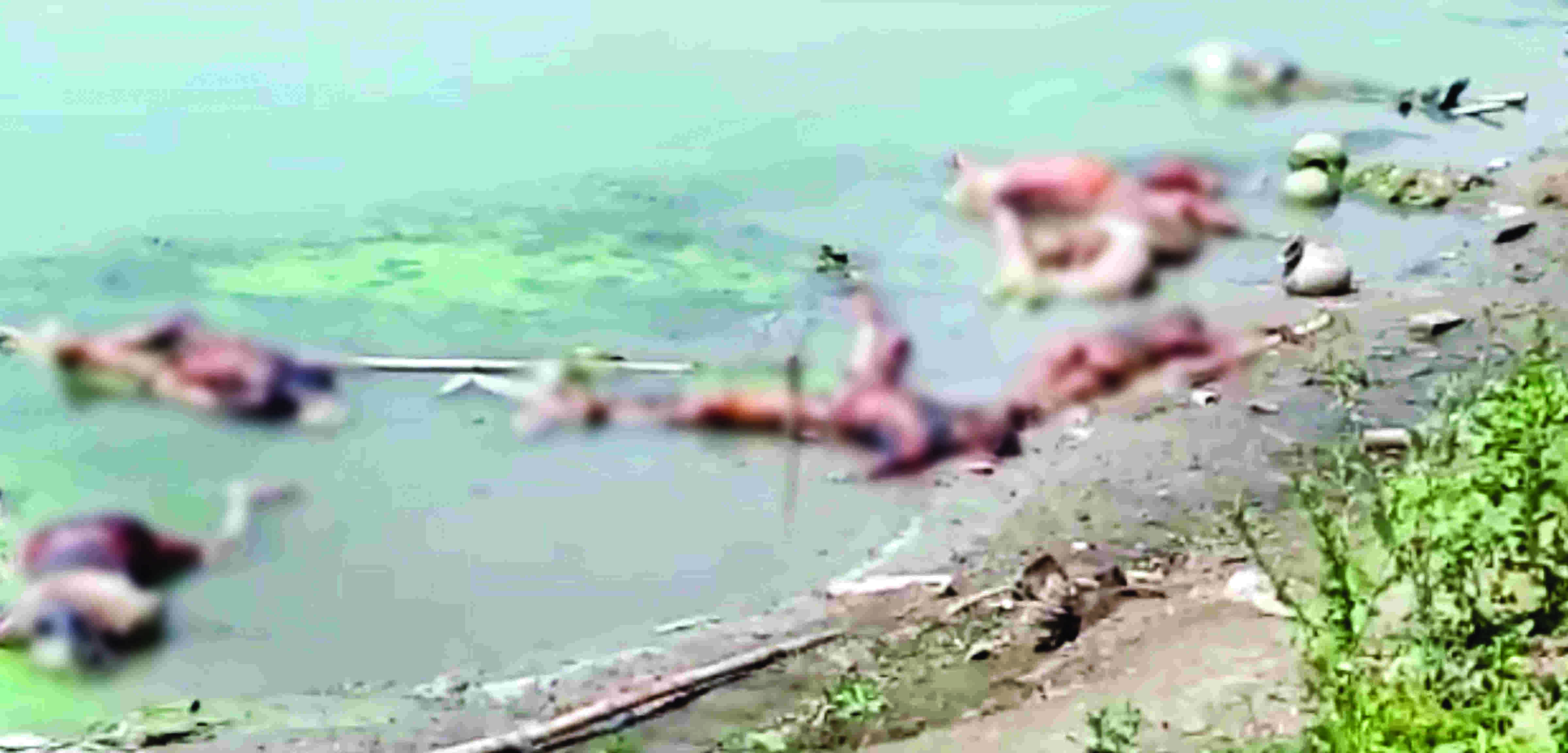 Green panel asks UP, Bihar govts to inform number of human corpses found in river