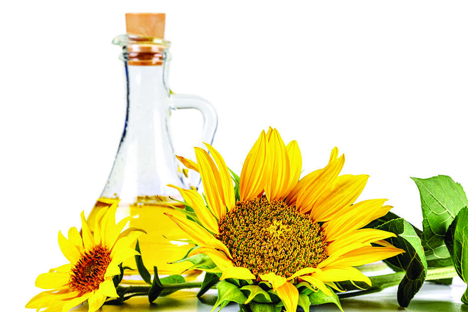 Duty-free import of crude soyabean, sunflower oil allowed