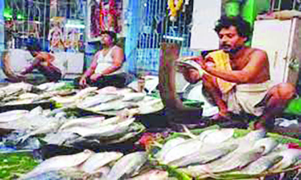 Irregular rains: Only 35 metric tonne Hilsa available daily