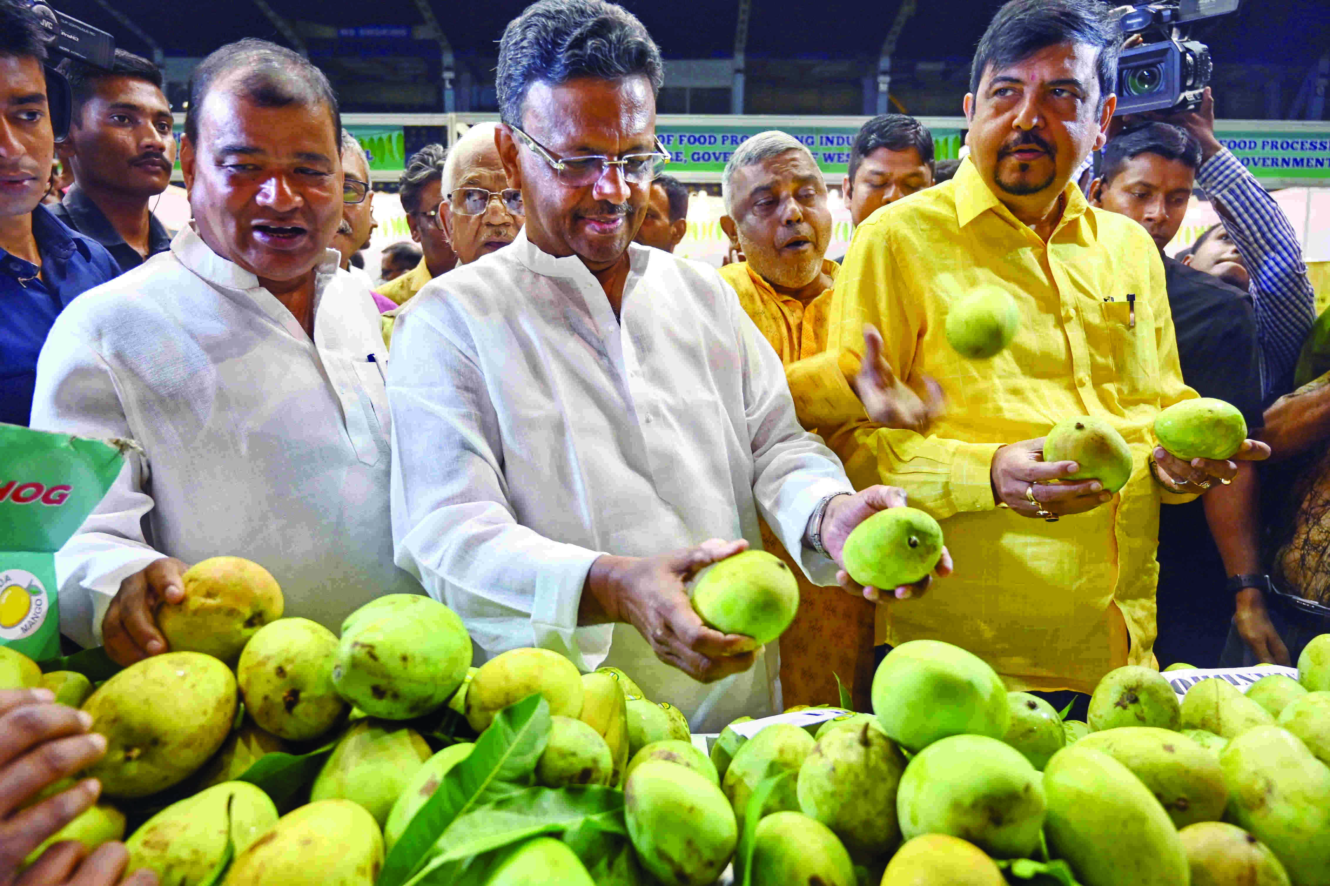 State plans to set up mango museum in Murshidabad
