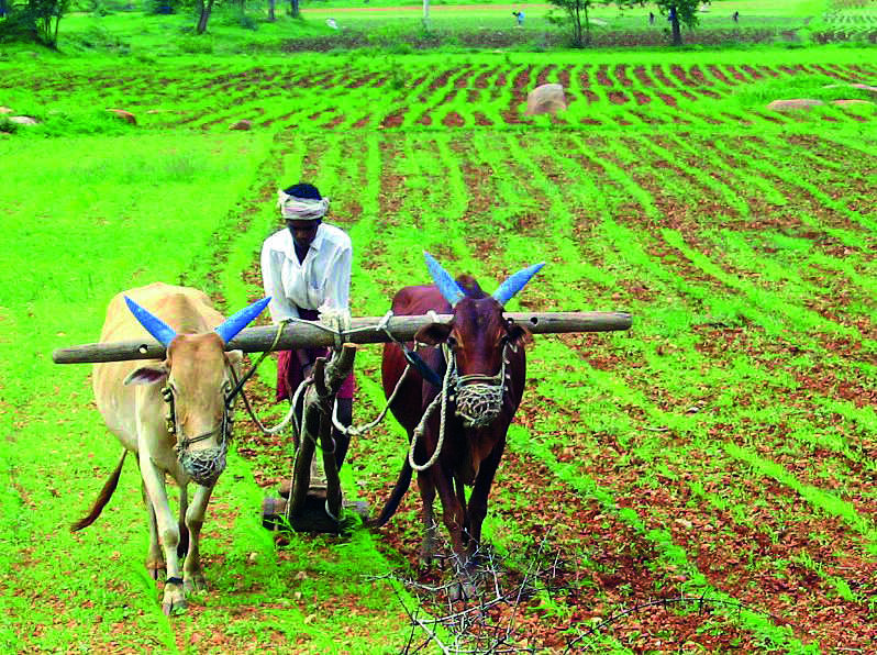 On average, each farmer family has outstanding loan of Rs 74,121