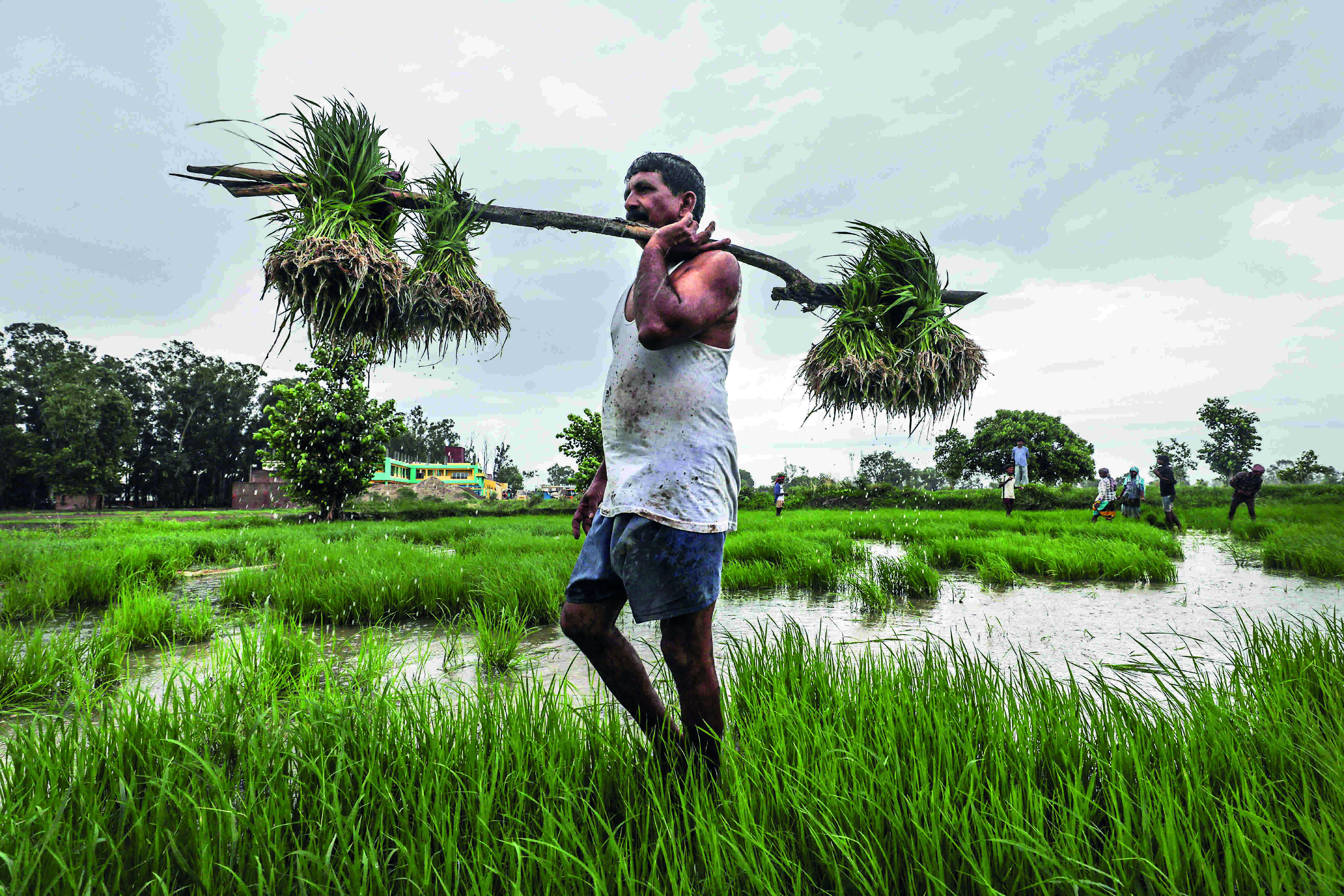 Relief for farmers: Cabinet nod to 1.5% interest aid on agri loan