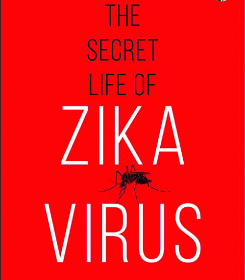 The Zika phenomenon
