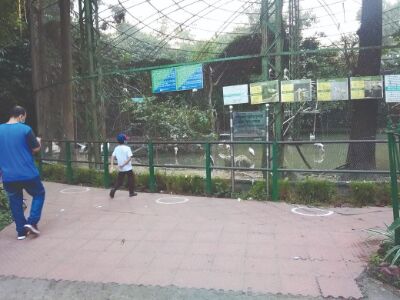 Durga Puja brought no cheer to Alipore Zoo Durga Puja brought no cheer to Alipore Zoo