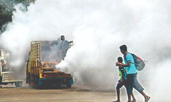 Malaria, dengue and chikungunya cases in city on a steady decline Malaria, dengue and chikungunya cases in city on a steady decline