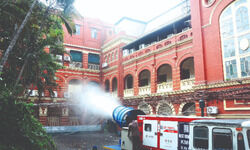Dengue cases in city dip by 65%, malaria down by 44%