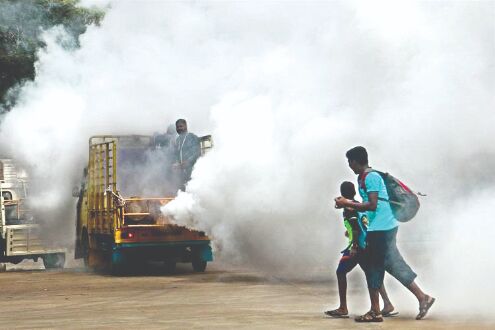 Malaria, dengue and chikungunya cases in city on a steady decline Malaria, dengue and chikungunya cases in city on a steady decline