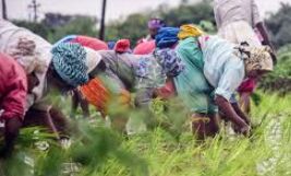 State urges financial institutions to fast-track hand over of KCC to farmers State urges financial institutions to fast-track hand over of KCC to farmers