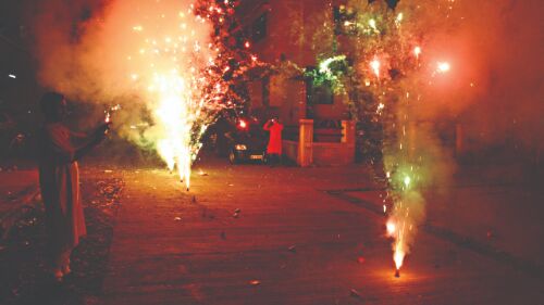 NGT widens ambit of firecracker pollution cases beyond NCR, notices to 18 states, UTs