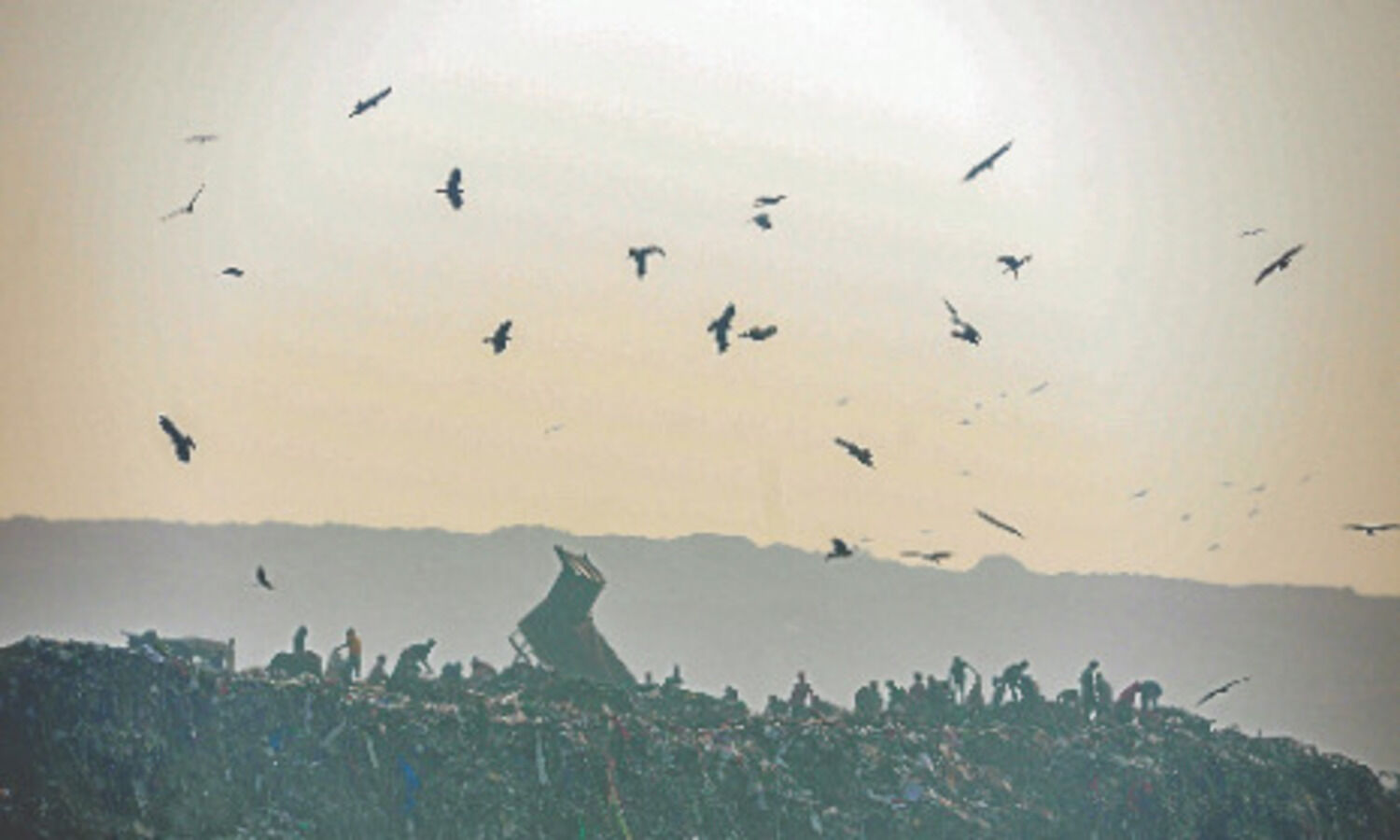 Stubble burning share drops to 32%, no quick recovery expected