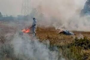 Stubble burning: Cases lodged against 30 farmers in UPs Fatehpur district