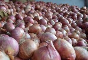 Soaring onion prices: 45 markets raided to check hoarding