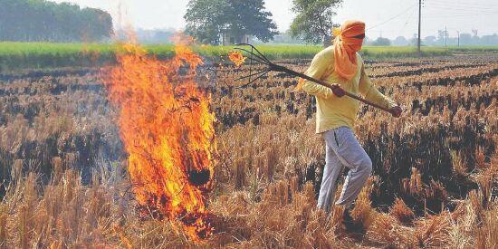 New Town takes steps to stop stubble burning