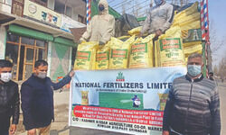 NFL maintains sustained production, supply of urea amid rail restrictions in Punjab NFL maintains sustained production, supply of urea amid rail restrictions in Punjab