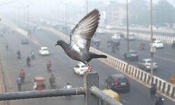 Delhis air skirts emergency levels as SAFAR says situation unusual Delhis air skirts emergency levels as SAFAR says situation unusual