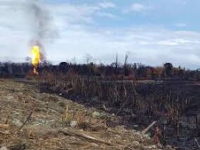 Assam gas well killed, fire fully doused after over five months Assam gas well killed, fire fully doused after over five months