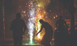 After cracker ban defied, activists say many birds, stray animals hurt After cracker ban defied, activists say many birds, stray animals hurt