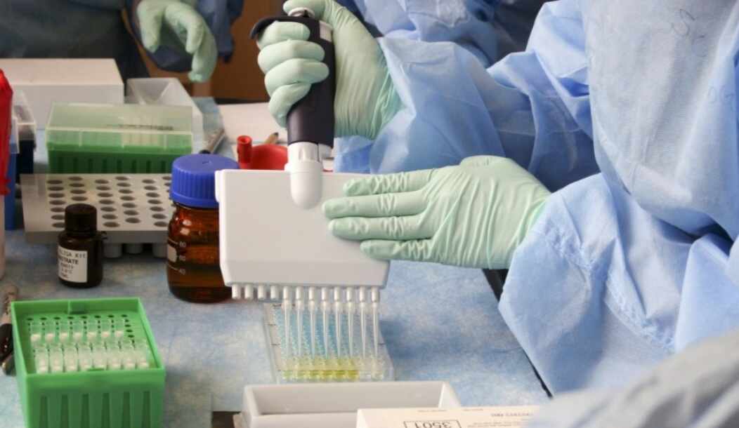 Chinese COVID-19 vaccine candidate appears safe, induces immune response, preliminary study finds Chinese COVID-19 vaccine candidate appears safe, induces immune response, preliminary study finds