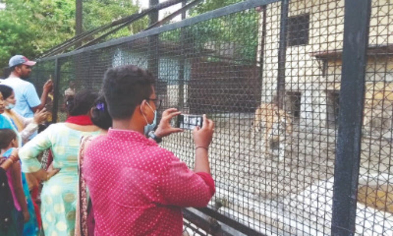 Special measures to keep Zoo inmates warm, this winter Special measures to keep Zoo inmates warm, this winter
