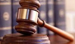 Not a flight risk, court observes while granting bail to student activist Not a flight risk, court observes while granting bail to student activist