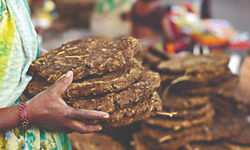 New wheels of rural economy