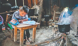 Absence of safety nets