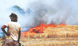 Anti-stubble burning campaign launched in Balurghat