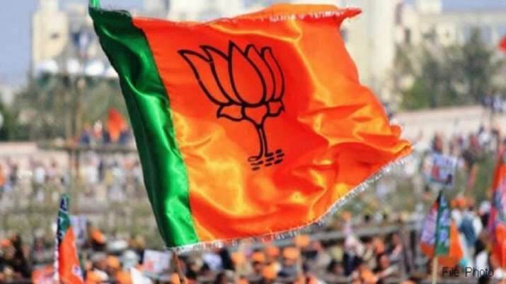 Delhi BJP claims govt failed to give bio-decomposer solution to farmers Delhi BJP claims govt failed to give bio-decomposer solution to farmers