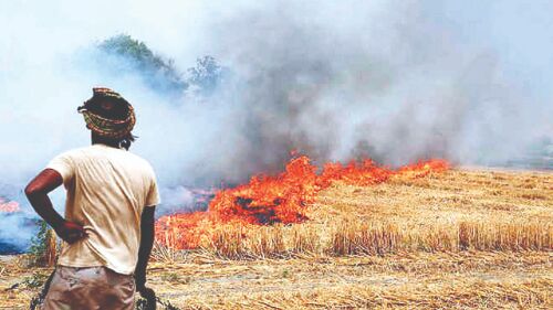 Anti-stubble burning campaign launched in Balurghat Anti-stubble burning campaign launched in Balurghat
