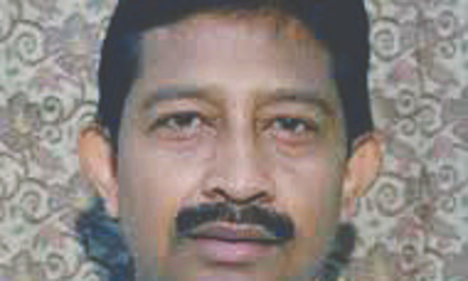 States green cover increased to 21.30%, says Forest Min