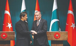 Backed into a corner