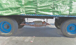 Despite reluctance from top leaders,   we are confident, say farmers unions