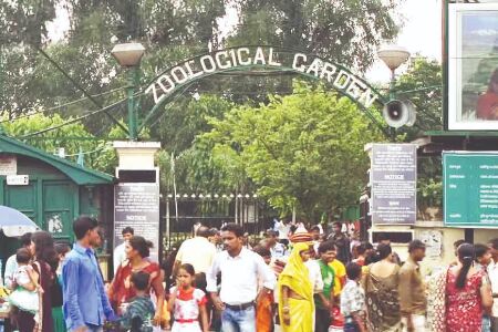 Zoo staffers protest for over an hour, deny entry to visitors Zoo staffers protest for over an hour, deny entry to visitors