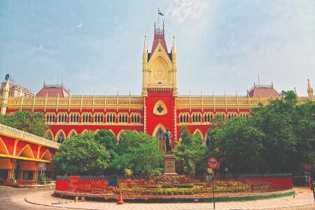Smuggling of endangered birds: HC initiates suo motu writ petition Smuggling of endangered birds: HC initiates suo motu writ petition