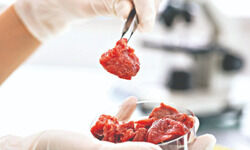 A meaty affair! A meaty affair!