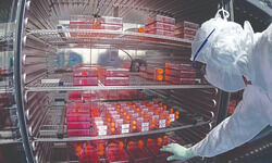 Injecting hope Injecting hope