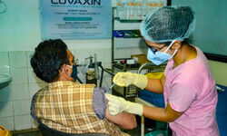 Avoid alcohol after getting Covid vaccine shot: Experts