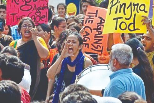 Devangana, media creating narrative that prosecution has failed its case Devangana, media creating narrative that prosecution has failed its case