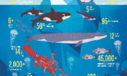 Safeguarding worlds oceans