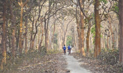 Department bans picnics in South Dinajpur forests Department bans picnics in South Dinajpur forests