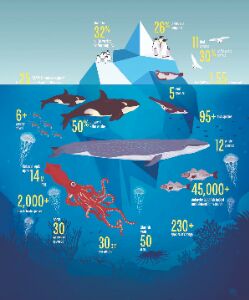 Safeguarding worlds oceans Safeguarding worlds oceans