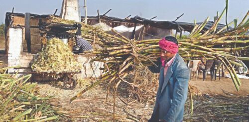Cabinet approves Rs 3,500 cr subsidy for sugar export Cabinet approves Rs 3,500 cr subsidy for sugar export