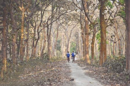 Department bans picnics in South Dinajpur forests