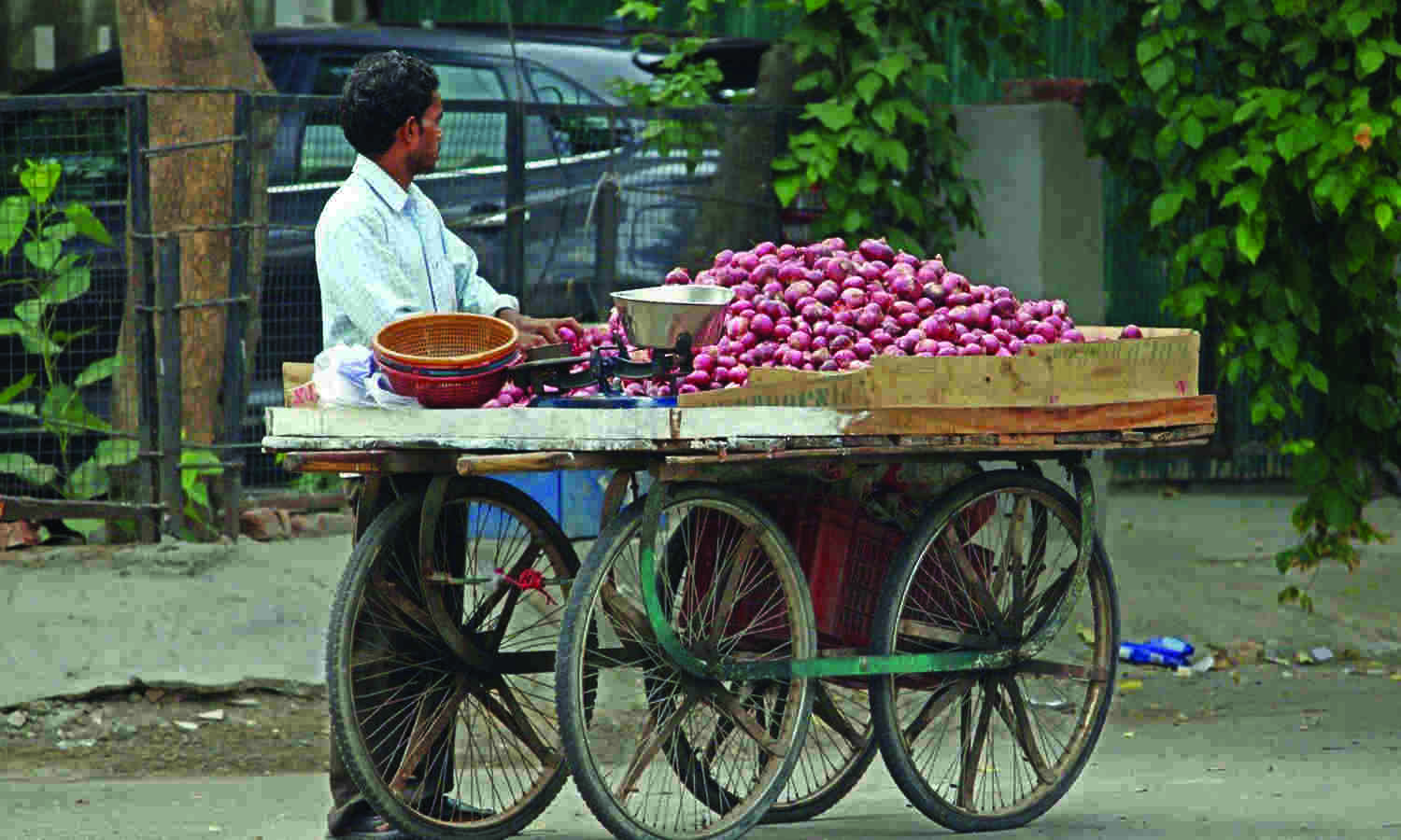 Govt extends relaxed norms for onion imports till Jan 31