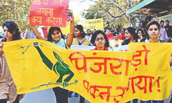 Narwals counsel points to gaps in police probe; prosecution compares riots to Mahabharata Narwals counsel points to gaps in police probe; prosecution compares riots to Mahabharata