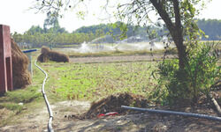 Agriculture dept provides free micro-irrigation facilities to South Dinajpur farmers Agriculture dept provides free micro-irrigation facilities to South Dinajpur farmers