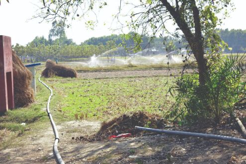 Agriculture dept provides free micro-irrigation facilities to South Dinajpur farmers
