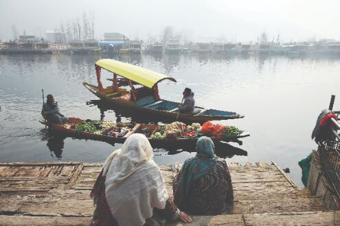 Cold wave persists in north India Cold wave persists in north India